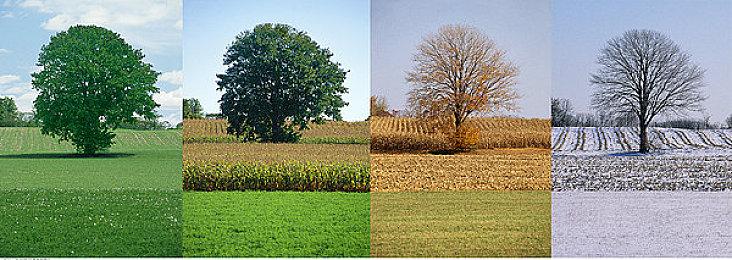 《大家一起观颜察色。在线》Steam正式发售 支持中文免费游玩