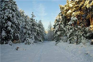 《众神陨落：终极版》历史新低！steam秋促仅4折入手！